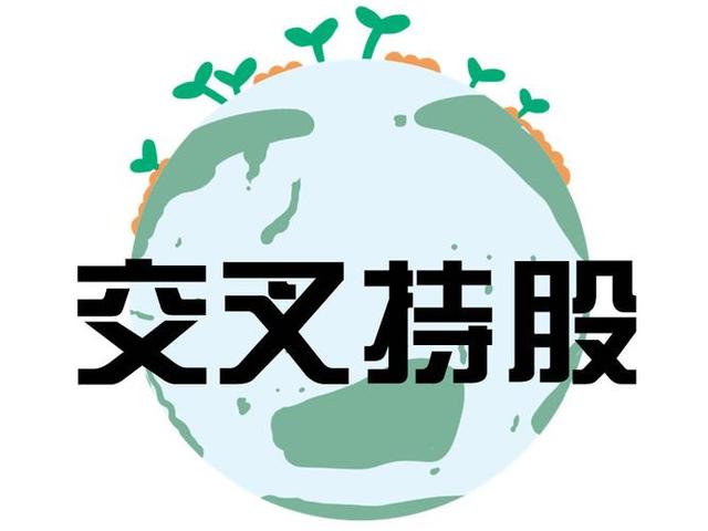 交叉持股安排设计(交叉持股怎么计算持股比例)黑河市